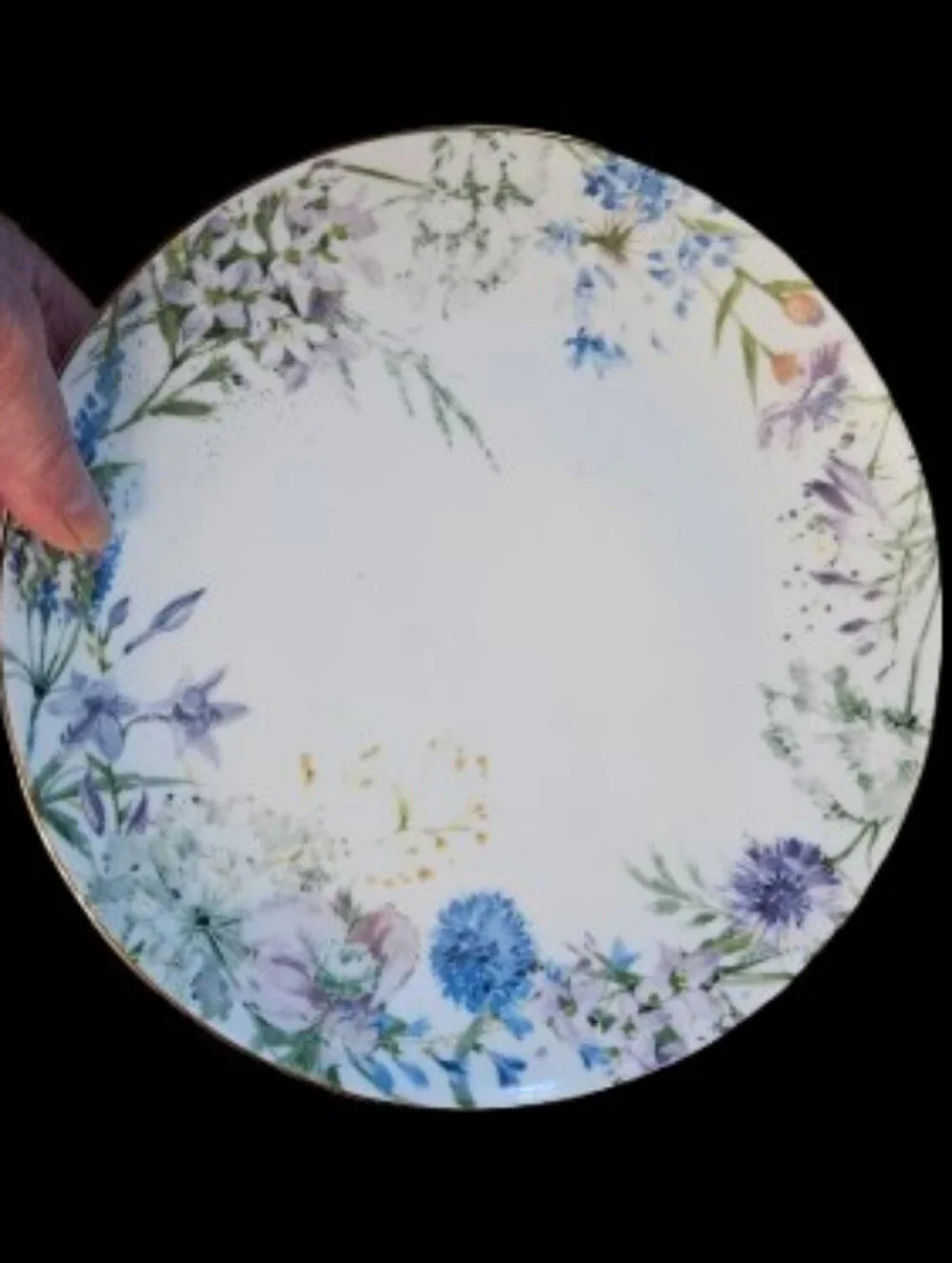 *NWOT Williams Sonoma Floral Meadow Wreath Salad Plates Set Of 4